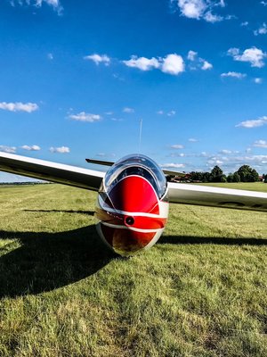 IMG_6506_jpg.JPG