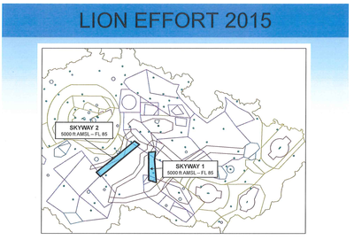 lion2.png