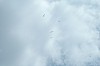 DSC_3952.JPG DSC_3952.JPG