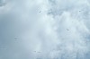 DSC_3953.JPG DSC_3953.JPG