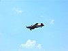 IMG_0278.jpg IMG_0278.jpg