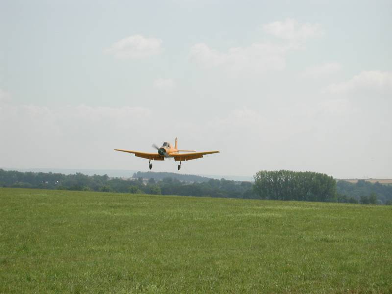 DSCN8137.JPG