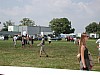 DSCN8133.JPG DSCN8133.JPG