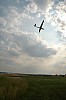 DSC_4793.JPG DSC_4793.JPG