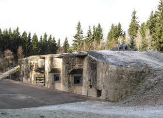 Tvrz Hanička | Fortress Hanička