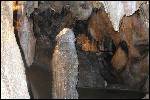 Mladečské jeskyně | Mladečské Caves